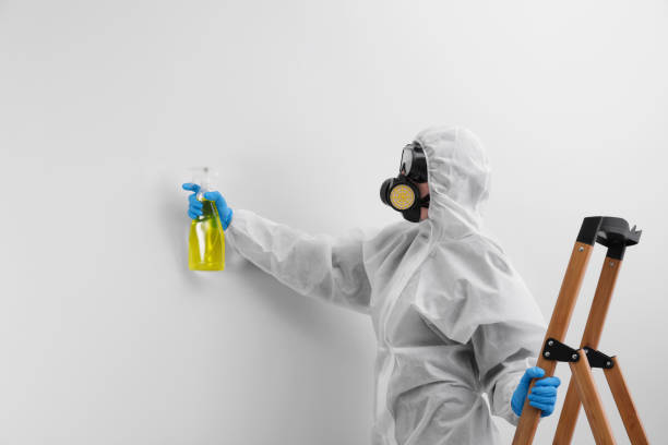 Why You Should Choose Our Mold Remediation Services in East Point, GA